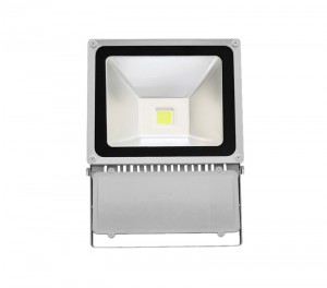 100W IP65 leidde overstroming licht FL-100W-01