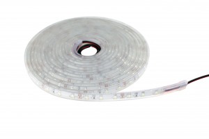 IMG_1619  LED Strip